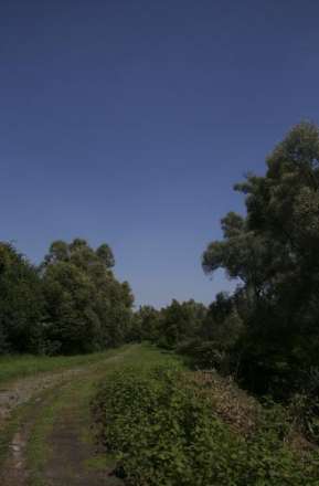 Scheldedijkwegel Hobokense Polder